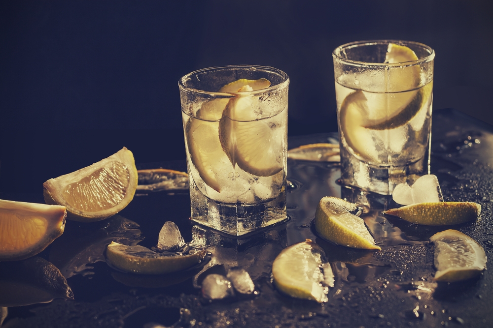 The Top 5 Vodka & Food Pairings Betches