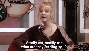 Smelly Cat