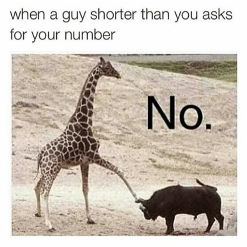 When A Short Guy Asks For Your Number